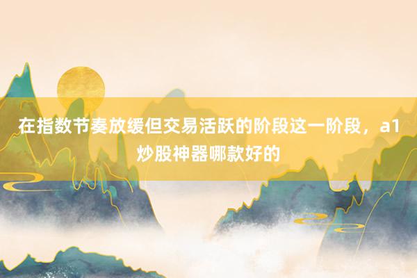 在指数节奏放缓但交易活跃的阶段这一阶段，a1炒股神器哪款好的