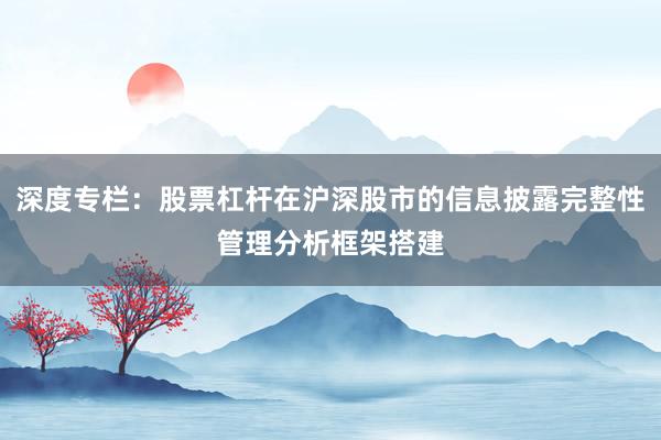 深度专栏：股票杠杆在沪深股市的信息披露完整性管理分析框架搭建